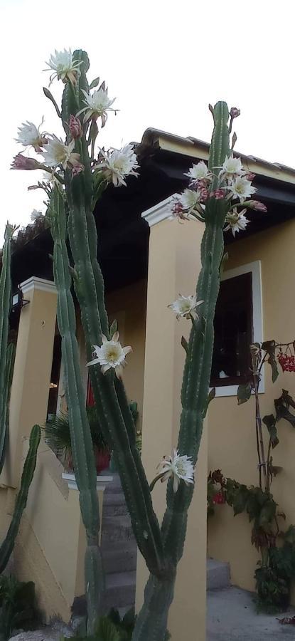 فيلا Roula'S House Nymfai المظهر الخارجي الصورة